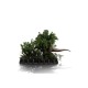 Jurassic Park Demi Art Scale Statue 1/20 T-Rex Chase 30 cm