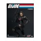 G.I. Joe FigZero Action Figure 1/6 Baroness 30 cm