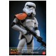 Star Wars: Rebels Action Figure 1/6 Stormtrooper Squad Leader 28 cm