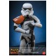 Star Wars: Rebels Action Figure 1/6 Stormtrooper Squad Leader 28 cm
