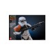 Star Wars: Rebels Action Figure 1/6 Stormtrooper Squad Leader 28 cm