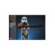 Star Wars: Rebels Action Figure 1/6 Stormtrooper Squad Leader 28 cm