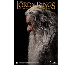 Lord Of The Rings The Fellowship of The Ring ..