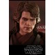 Star Wars Episode III MMS Action Figure 1/6 Anakin Skywalker Dark Side 2018 Toy Fair Exclusive 31 cm