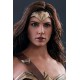 Justice League Movie Masterpiece Action Figure 1/6 Wonder Woman Deluxe Version 29 cm