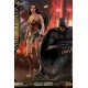 Justice League Movie Masterpiece Action Figure 1/6 Wonder Woman 29 cm