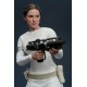 Star Wars: Attack of the Clones Padme Amidala 1/6 Scale Figure