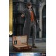 Phantastische Tierwesen 2 Movie Masterpiece Action Figure 1/6 Newt Scamander 30 cm