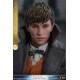 Phantastische Tierwesen 2 Movie Masterpiece Action Figure 1/6 Newt Scamander 30 cm