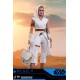 Star Wars Episode IX Movie Masterpiece Action Figure 2-Pack 1/6 Rey and D-O 28 cm