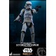 Star Wars The Mandalorian Action Figure 1/6 Remnant Stormtrooper 30 cm