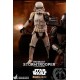 Star Wars The Mandalorian Action Figure 1/6 Remnant Stormtrooper 30 cm