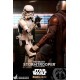 Star Wars The Mandalorian Action Figure 1/6 Remnant Stormtrooper 30 cm