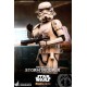 Star Wars The Mandalorian Action Figure 1/6 Remnant Stormtrooper 30 cm