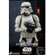 Star Wars The Mandalorian Action Figure 1/6 Remnant Stormtrooper 30 cm