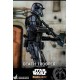 Star Wars The Mandalorian Action Figure 1/6 Death Trooper 32 cm