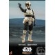 Star Wars The Mandalorian Action Figure 1/6 Scout Trooper 30 cm