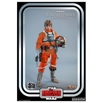 Star Wars Episode V Movie Masterpiece Action Figure 1/6 Luke Skywalker (Snowspeeder Pilot) 28 cm