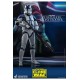 Star Wars The Clone Wars Action Figure 1/6 501st Battalion Clone Trooper 30 cm