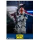 Star Wars The Clone Wars Action Figure 1/6 501st Battalion Clone Trooper (Deluxe) 30 cm