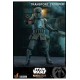 Star Wars The Mandalorian Action Figure 1/6 Transport Trooper 31 cm