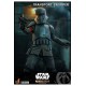 Star Wars The Mandalorian Action Figure 1/6 Transport Trooper 31 cm