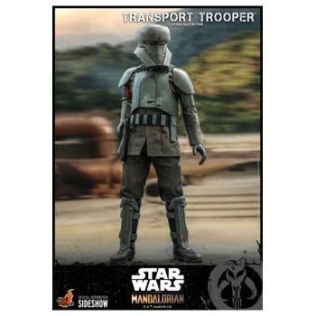 Star Wars The Mandalorian Action Figure 1/6 Transport Trooper 31 cm