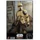 Star Wars The Mandalorian Action Figure 1/6 Shoretrooper 30 cm