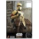 Star Wars The Mandalorian Action Figure 1/6 Shoretrooper 30 cm