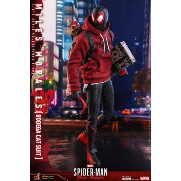 SPIDER-MAN - Miles Morales Bodega Cat Suit - Statuette 29cm :  : Figurine Hot Toys Marvel