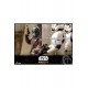 Star Wars The Mandalorian Action Figure 2-Pack 1/6 The Mandalorian and Blurrg 37 cm