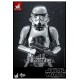 Star Wars Movie Masterpiece Action Figure 1/6 Stormtrooper Chrome Version 30 cm