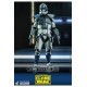 Star Wars The Clone Wars Action Figure 1/6 Clone Trooper Jesse 30 cm