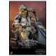 Star Wars The Clone Wars Action Figure 1/6 ARF Trooper & 501st Legion AT-RT 30 cm