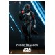 Star Wars: Obi-Wan Kenobi Action Figure 1/6 Purge Trooper 30 cm