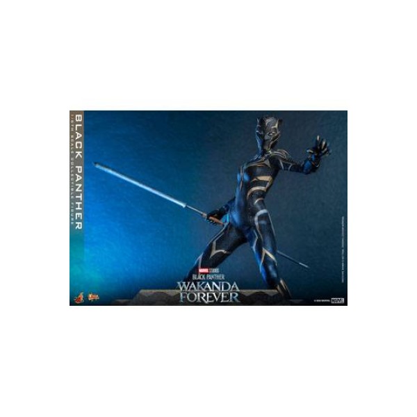 Movie Masterpiece - Fully Poseable Figure: Black Panther: Wakanda