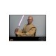 Star Wars: Episode II Action Figure 1/6 Mace Windu 32 cm