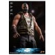 The Dark Knight Trilogy Movie Masterpiece Action Figure 1/6 Bane 31 cm