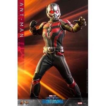 Ant-Man and The Wasp: Quantumania Movie Masterpiece Action Figure 1/6 Ant-Man 30 cm