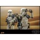 Star Wars: A New Hope Sandtrooper Sergeant 1/6 Scale Figure