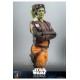 Star Wars: Ahsoka Action Figure 1/6 Hera Syndulla 28 cm