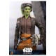 Star Wars: Ahsoka Action Figure 1/6 Hera Syndulla 28 cm