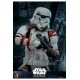 Star Wars: Ahsoka Action Figure 1/6 Night Trooper 31 cm