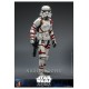 Star Wars: Ahsoka Action Figure 1/6 Night Trooper 31 cm