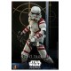 Star Wars: Ahsoka Action Figure 1/6 Night Trooper 31 cm