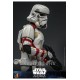 Star Wars: Ahsoka Action Figure 1/6 Night Trooper 31 cm