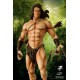 Tarzan Tarzan Call of the Jungle 1/10 Scale Statue 23 CM