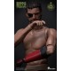 World Box 1/6 Durable body intelligent prosthesis