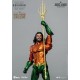 DC Comics: Justice League - Aquaman Limited Edition Figure