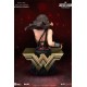 Justice League PVC Bust Wonder Woman 15 cm